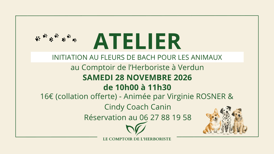 Atelier : initiation au fleurs de Bach pour les animaux
