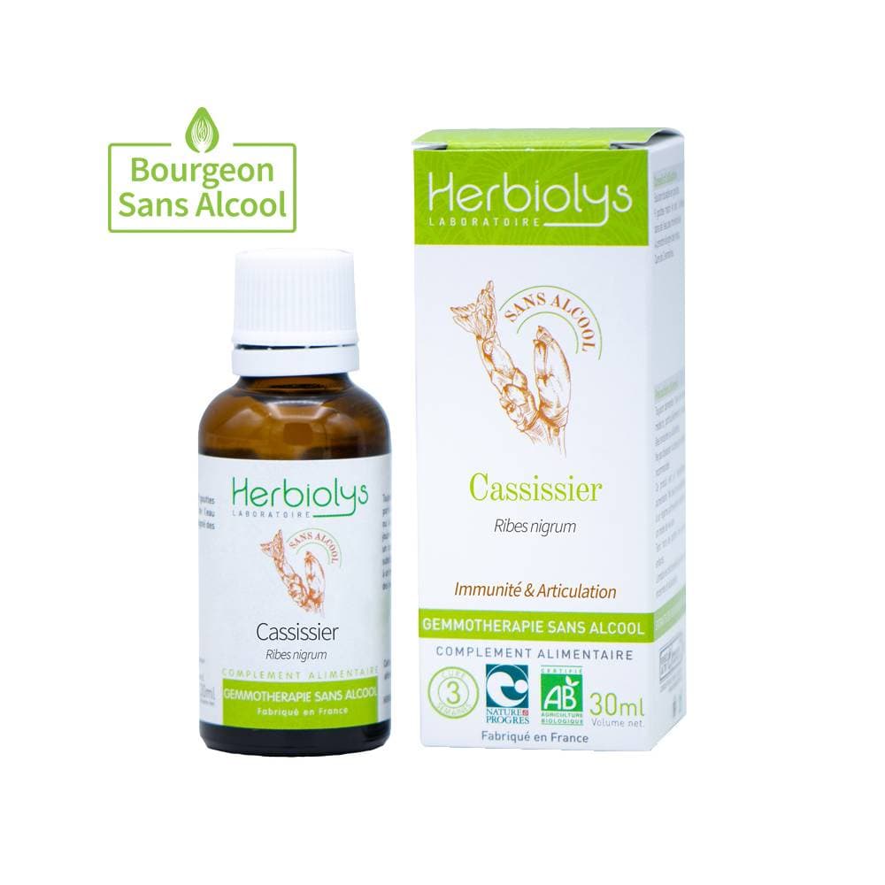 Cassissier Bourgeon Bio - sans alcool · Herbiolys