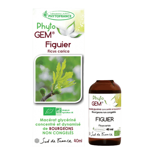 Bourgeons figuier · Phyto'Gem